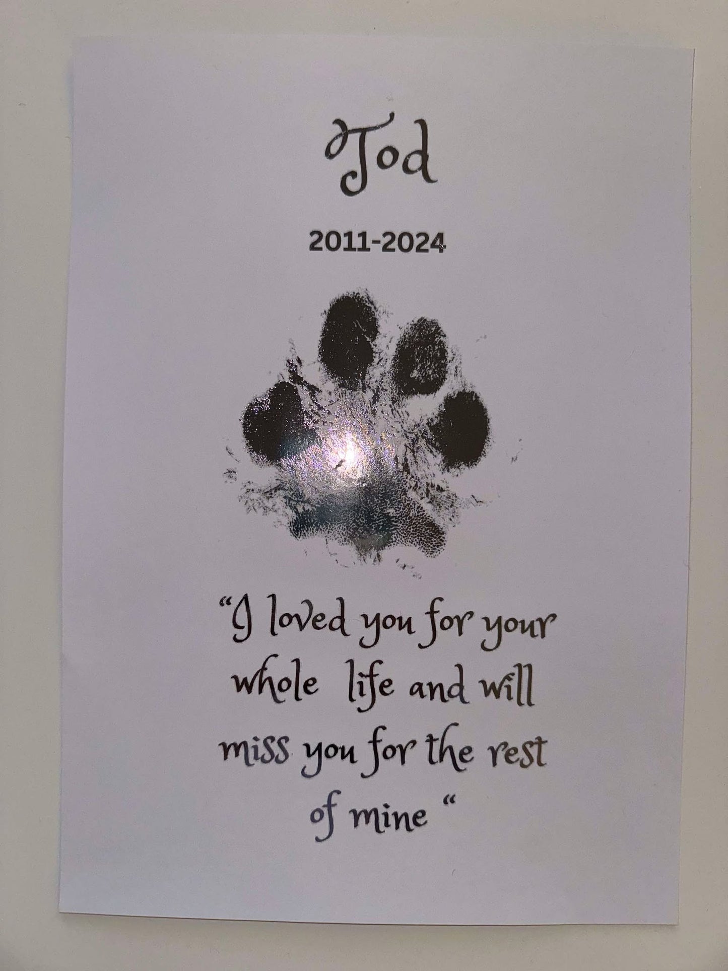 Personalised Foil Pet Prints